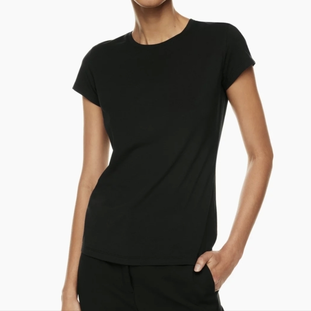 Aritzia "The Group Babaton" bundle of 2 women's t-shirt (white & grey) size 2XS - Picture 10 of 15